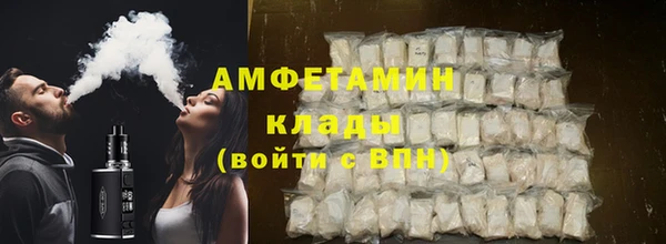 мет Алексин