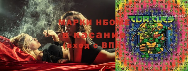 мет Алексин