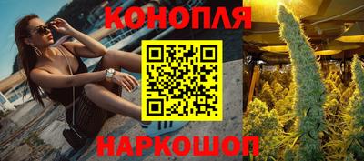сатива Можайск