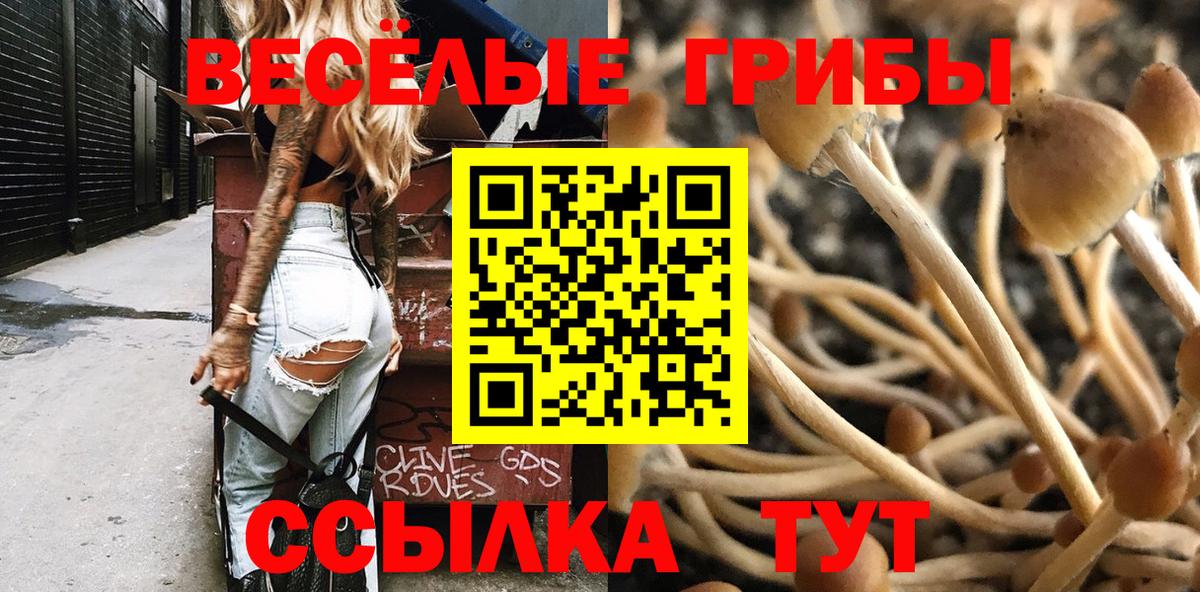 Псилоцибиновые грибы Magic Shrooms  Галлюциногенные грибы Psilocybe  Вход с VPN  цена   Волхов 