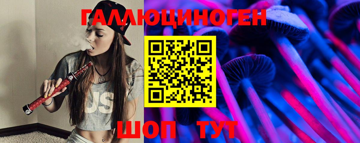 Псилоцибиновые грибы Psilocybine cubensis Волхов