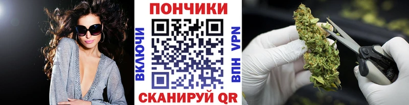 МЕГА как зайти  Волхов  Марихуана сатива  хочу наркоту 